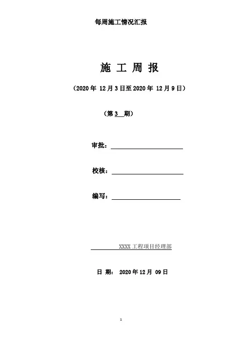 施工周报(完整版)