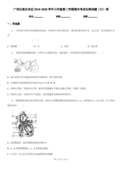 广西壮族自治区2019-2020学年七年级第二学期期末考试生物试题(II)卷