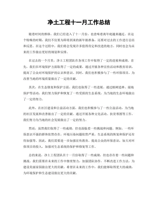 净土工程十一月工作总结