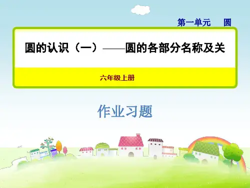 北师大版六年级数学上册 圆的认识(一)——圆的各部分名称及关系习题课件【新版】