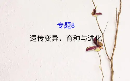 高三生物二轮复习 2.8 专题8 遗传变异、育种与进化课件.pptx