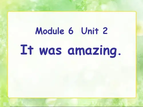 《It was amazing》ppt课件