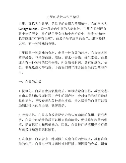 白果的功效与作用禁忌