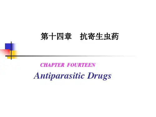 14抗寄生虫药