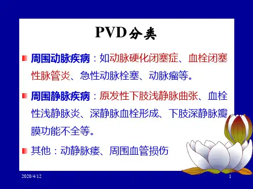 周围血管疾病病人的护理-精品医学课件