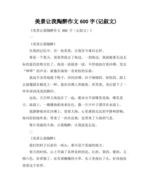 美景让我陶醉作文600字(记叙文)