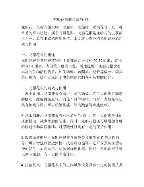 龙船花根的功效与作用