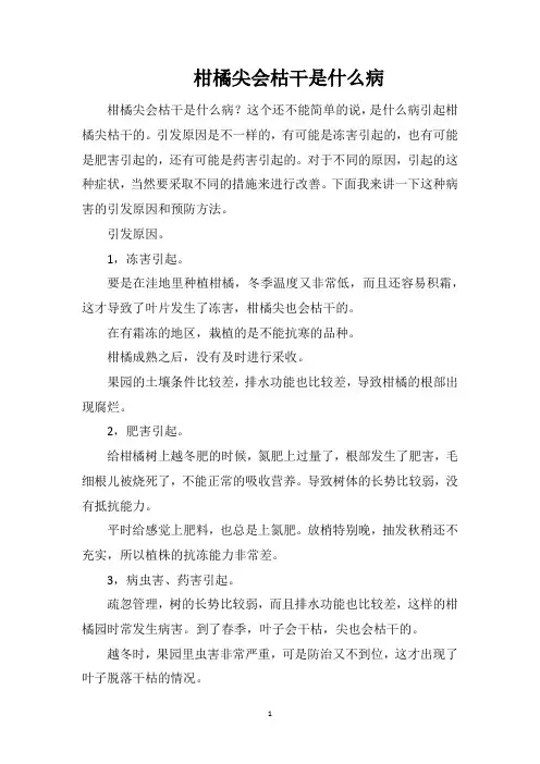 柑橘尖会枯干是什么病