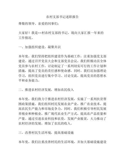农村支部书记述职报告