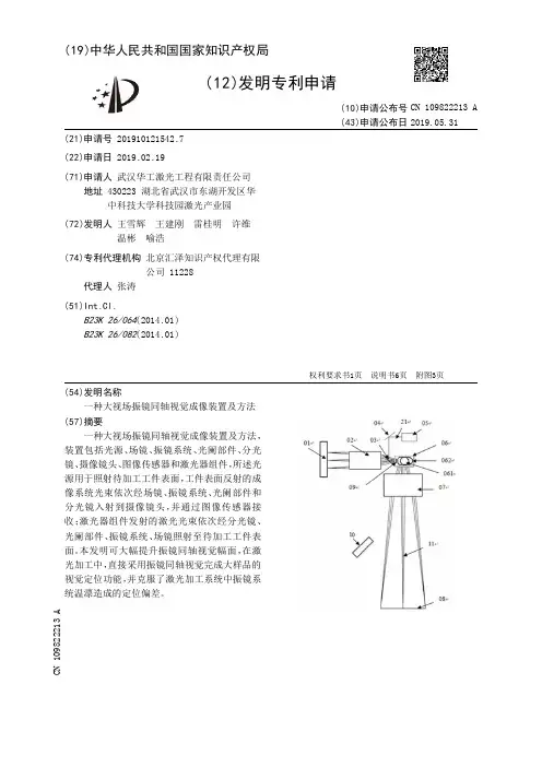 【CN109822213A】一种大视场振镜同轴视觉成像装置及方法【专利】