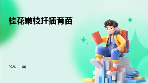 桂花嫩枝扦插育苗