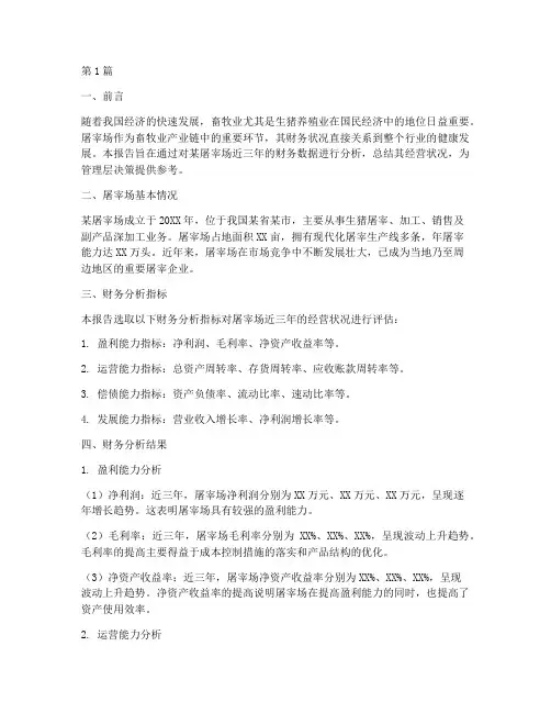 屠宰场财务分析报告总结(3篇)