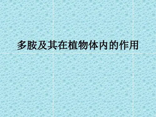 多胺及其在植物体内的作用ppt课件