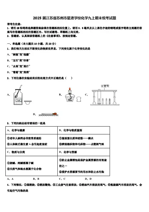 2025届江苏省苏州市星港学校化学九上期末统考试题含解析