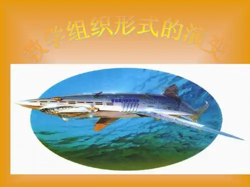 教学组织形式的演变