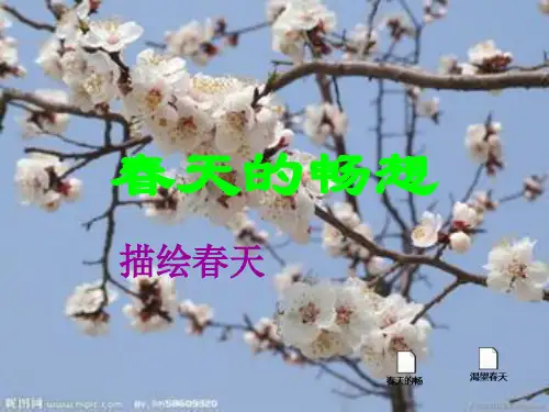 春天的畅想ppt