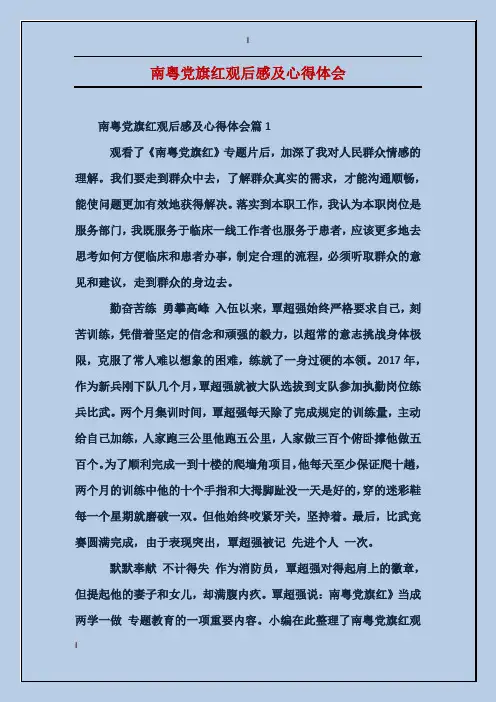 南粤党旗红观后感及心得体会