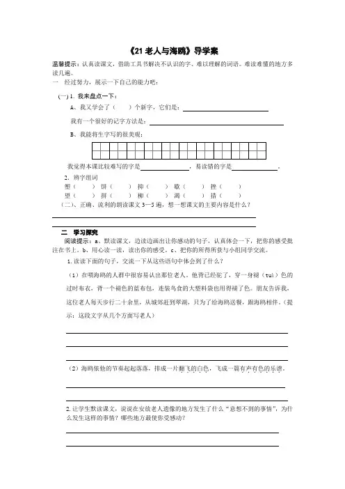 21老人与海鸥导学案(1)