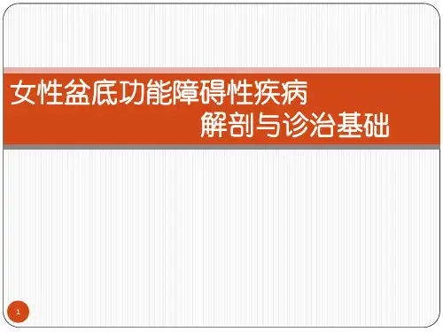 女性盆底功能障碍性疾病诊治基础