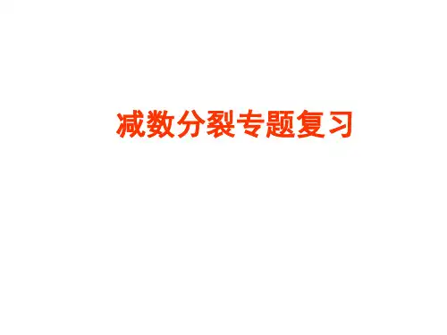 高中生物减数分裂专题复习(共38张PPT)