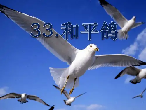 《和平鸽》PPT课件