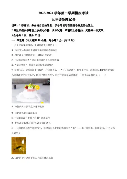 2024年广东省深圳市深中体系联考中考一模物理试题(原卷版)