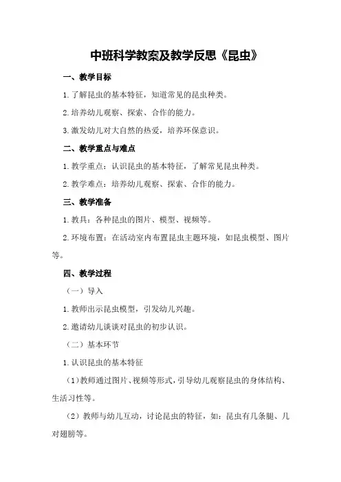 中班科学教案及教学反思《昆虫》