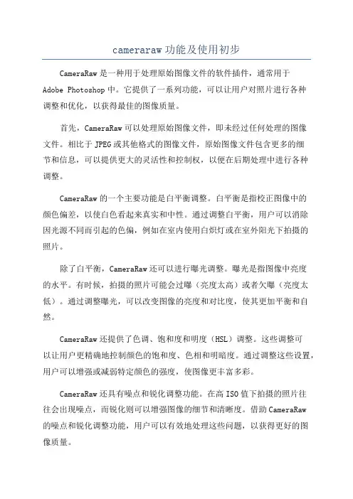 cameraraw功能及使用初步