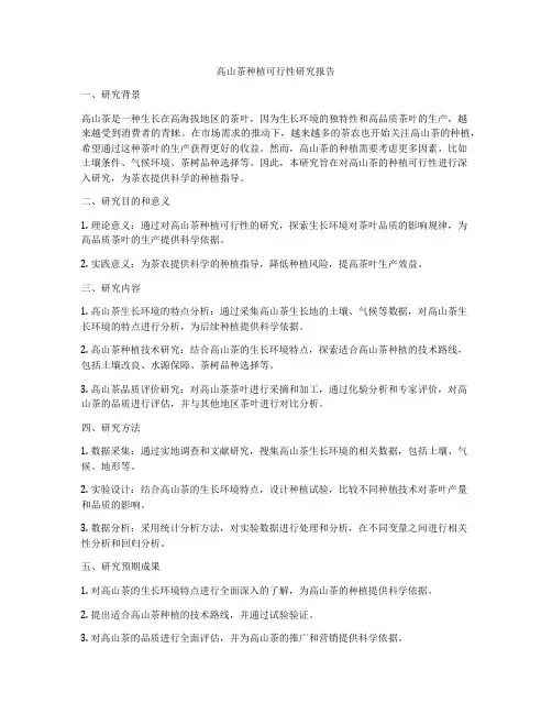 高山茶种植可行性研究报告