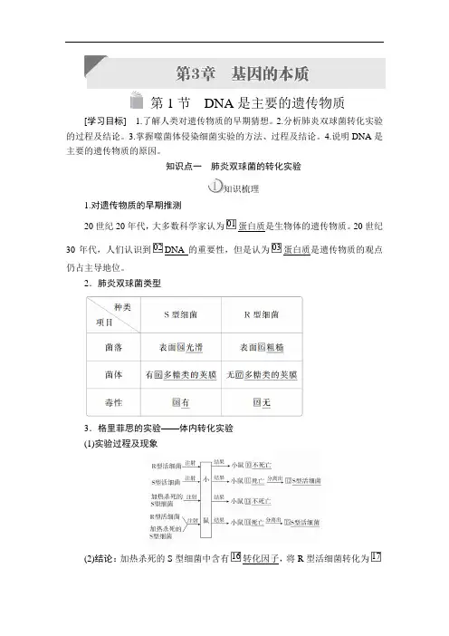 高中生物《DNA是主要的遗传物质》导学案+课时作业