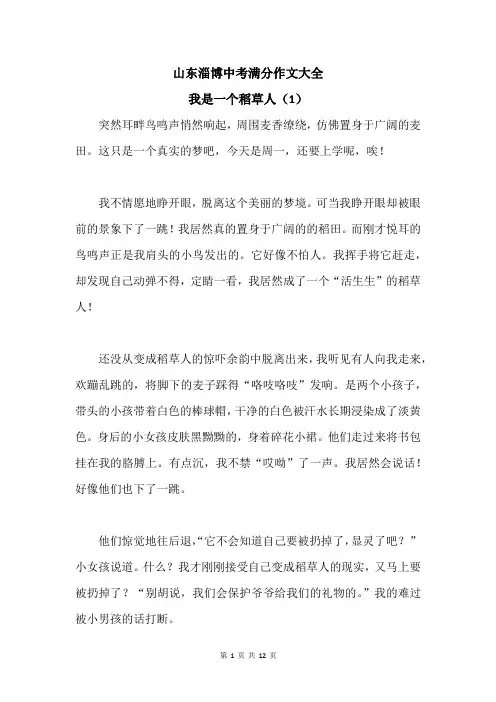 山东淄博中考满分作文大全