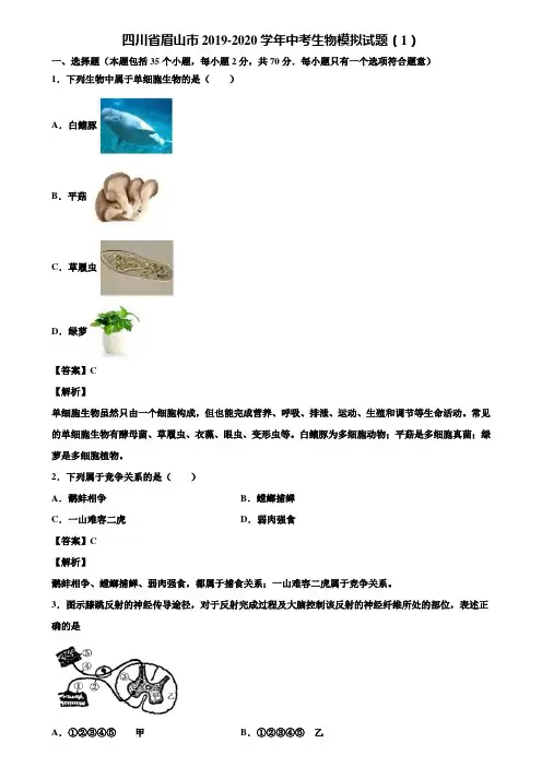 四川省眉山市2019-2020学年中考生物模拟试题(1)含解析