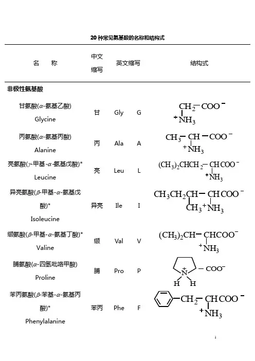 氨基酸结构式