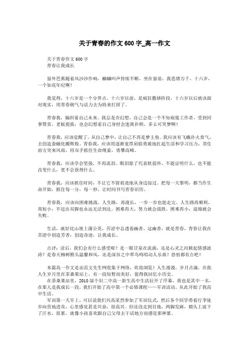 关于青春的作文600字_高一作文.doc