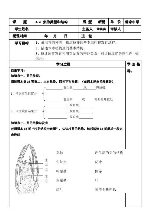 芽的类型和结构