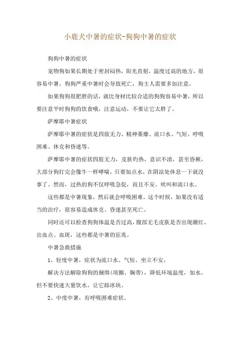 小鹿犬中暑的症状-狗狗中暑的症状