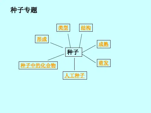 种子的结构和类型