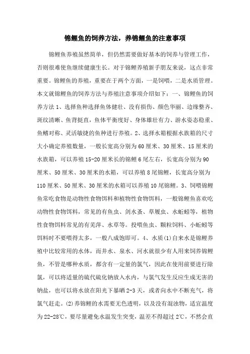 锦鲤鱼的饲养方法,养锦鲤鱼的注意事项