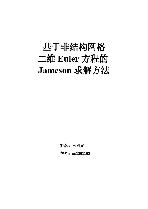 使用有限差分法计算二维欧拉方程