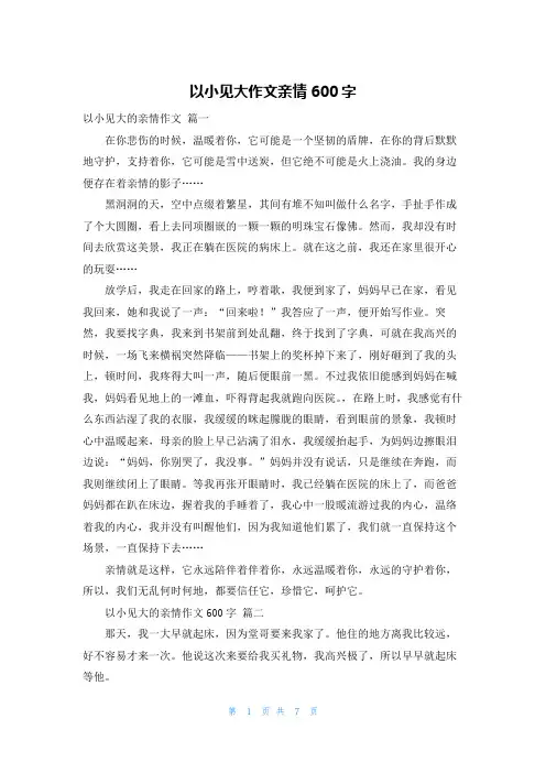 以小见大作文亲情600字