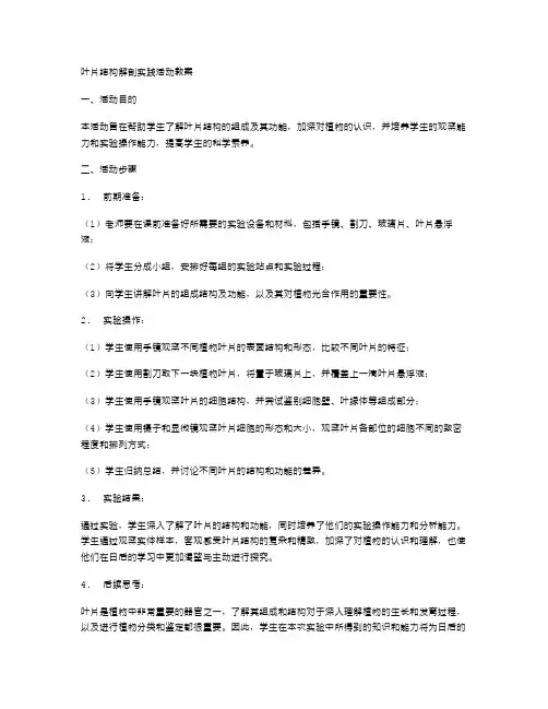 叶片结构解剖实践活动教案