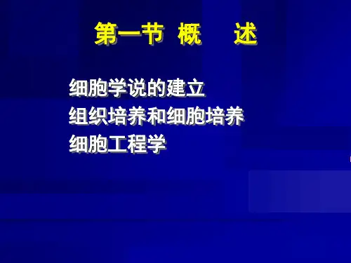 动物细胞制药最新PPT课件