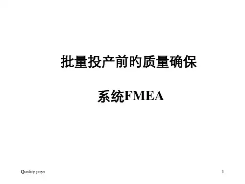 VDA系统FMEA优秀课件