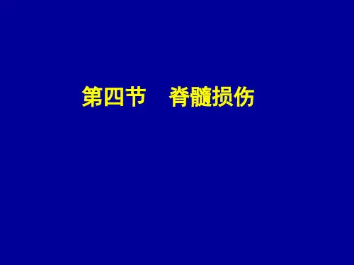 脊髓损伤 (2).ppt