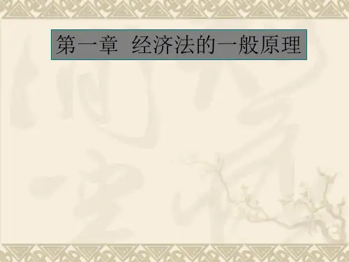 刘大洪 经济法 第一章  经济法