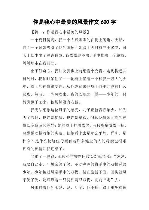 你是我心中最美的风景作文600字
