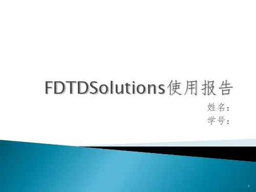 FDTD仿真报告PPT课件