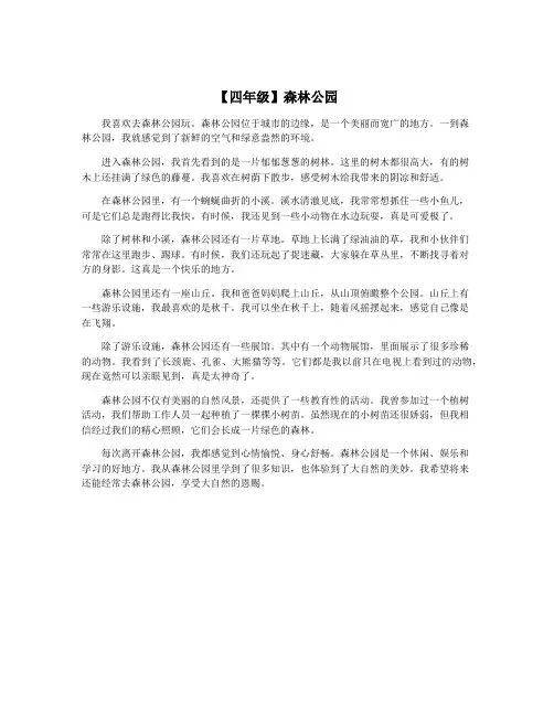 【四年级】森林公园