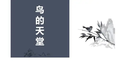 《鸟的天堂》PPT优秀课件【完美版课件】
