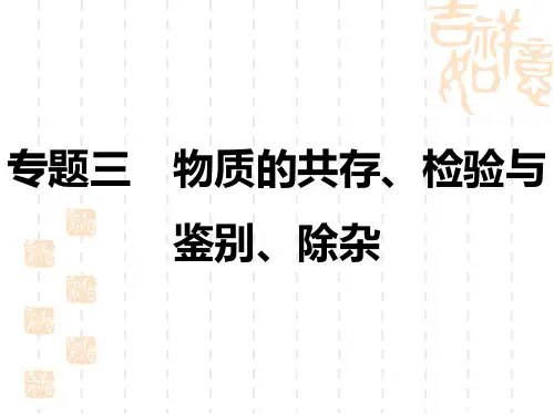 初中中考化学复习讲义课件 中考题型突破 专题三 物质的共存、检验与鉴别、除杂